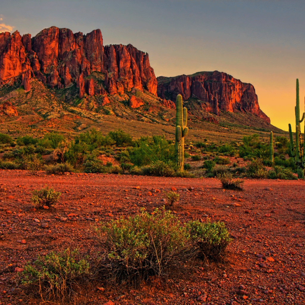 Arizona Hydroseeding