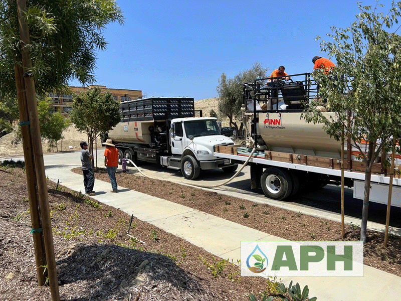 Residential Hydroseed Project Image - APH